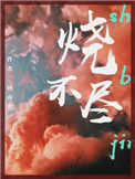 《烧不尽》封面