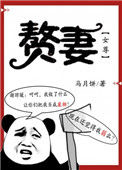 《赘妻（女尊）》封面