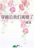 《穿越后我们离婚了》封面