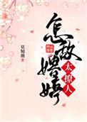 《怎敌娉婷太撩人》封面
