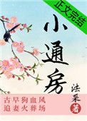 《小通房》封面