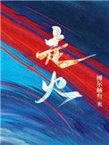 《走火》封面