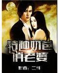《特种奶爸俏老婆》封面