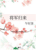 《将军归来》封面