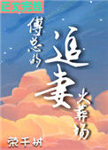 《傅总的追妻火葬场》封面