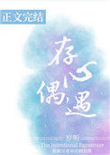 《存心偶遇》封面