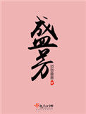 《盛芳》封面