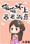 《偷偷怀上暴君的崽》封面