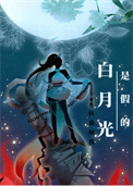 《白月光是假的》封面