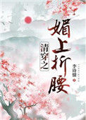 《清穿之媚上折腰》封面