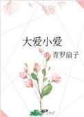 《大爱小爱》封面