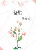 《备胎》封面