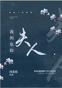 《我的危险夫人》封面