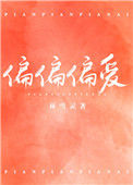 《偏偏偏爱》封面
