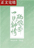 《一见钟情的概率》封面