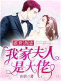 《盛世热恋：我家夫人是大佬》封面