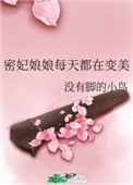 《密妃娘娘每天都在变美》封面