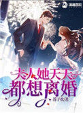 《夫人她天天都想离婚》封面