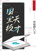 《国宝级天才》封面