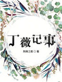 《丁薇记事》封面