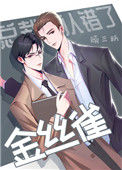 《总裁他认错了金丝雀》封面