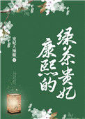 《康熙的绿茶贵妃》封面