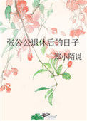 《张公公退休后的日子》封面