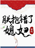 《朕抱错了媳妇》封面