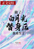 《做了白月光替身后我重生了》封面
