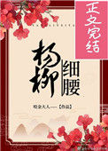 《杨柳细腰》封面