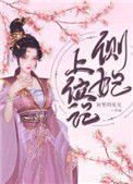 《侧妃上位记》封面