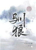 《驯狼》封面