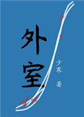 《外室（作者：少寒）》封面