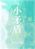 《小矛盾》封面