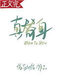 《真替身》封面