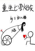 《重生七零小炮灰》封面