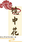 《镜中花》封面