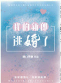 《我的新郎逃婚了》封面