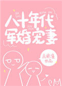 《八十年代军婚宠妻》封面