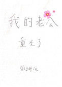《我的老公重生了》封面