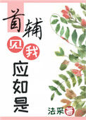 《首辅见我应如是》封面