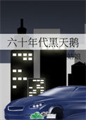 《六十年代黑天鹅》封面