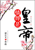 《情郎是皇帝》封面