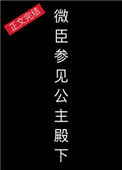 《微臣，参见公主殿下》封面