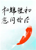 《和锦鲤初恋闪婚后》封面
