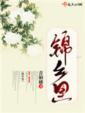 《锦乡里》封面