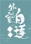 《外室白莲手册》封面