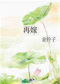 《再嫁》封面