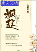 《枫起（重生）》封面