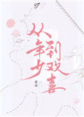 《从年少到欢喜》封面
